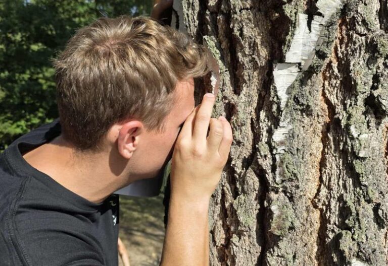 Leśna przygoda pełna magii… 